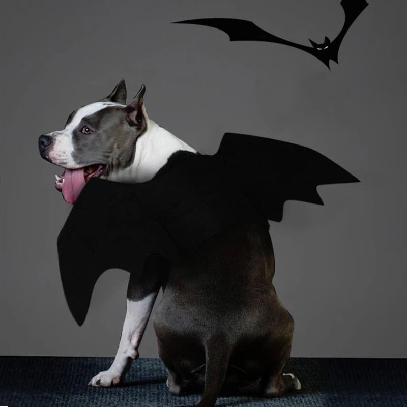 Halloween Bat Wings Costume - Pawradise Pointe