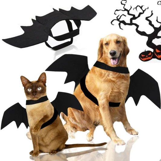 Halloween Bat Wings Costume - Pawradise Pointe