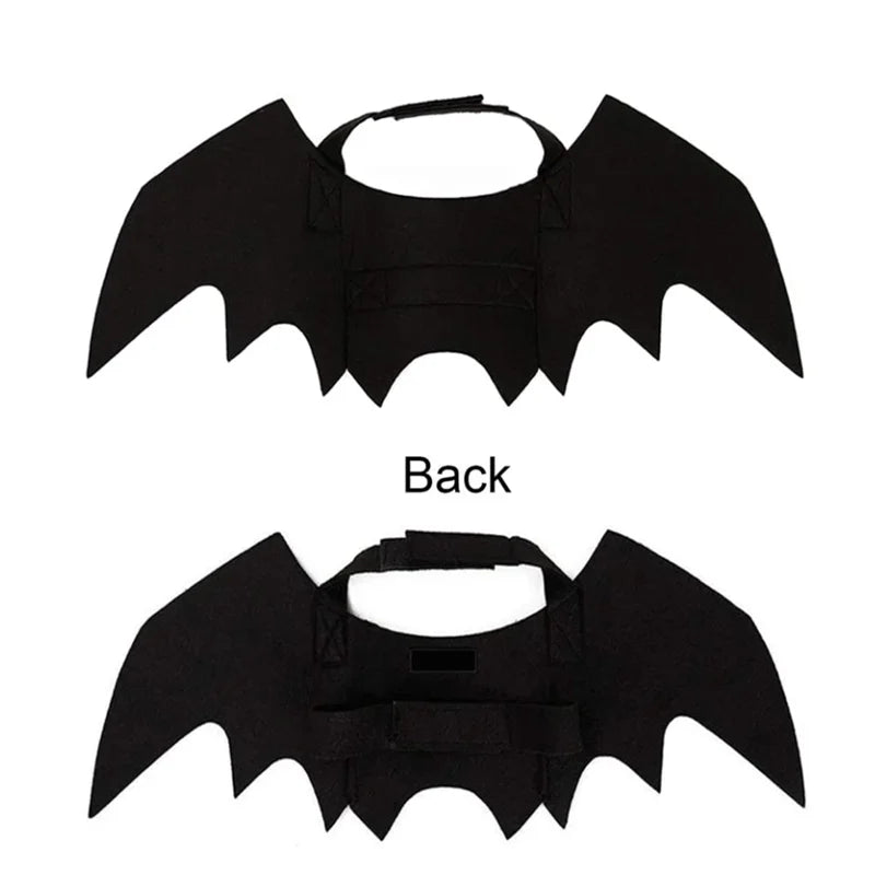 Halloween Bat Wings Costume - Pawradise Pointe