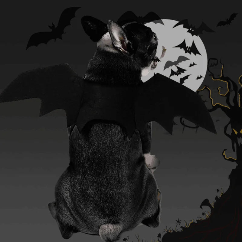 Halloween Bat Wings Costume - Pawradise Pointe