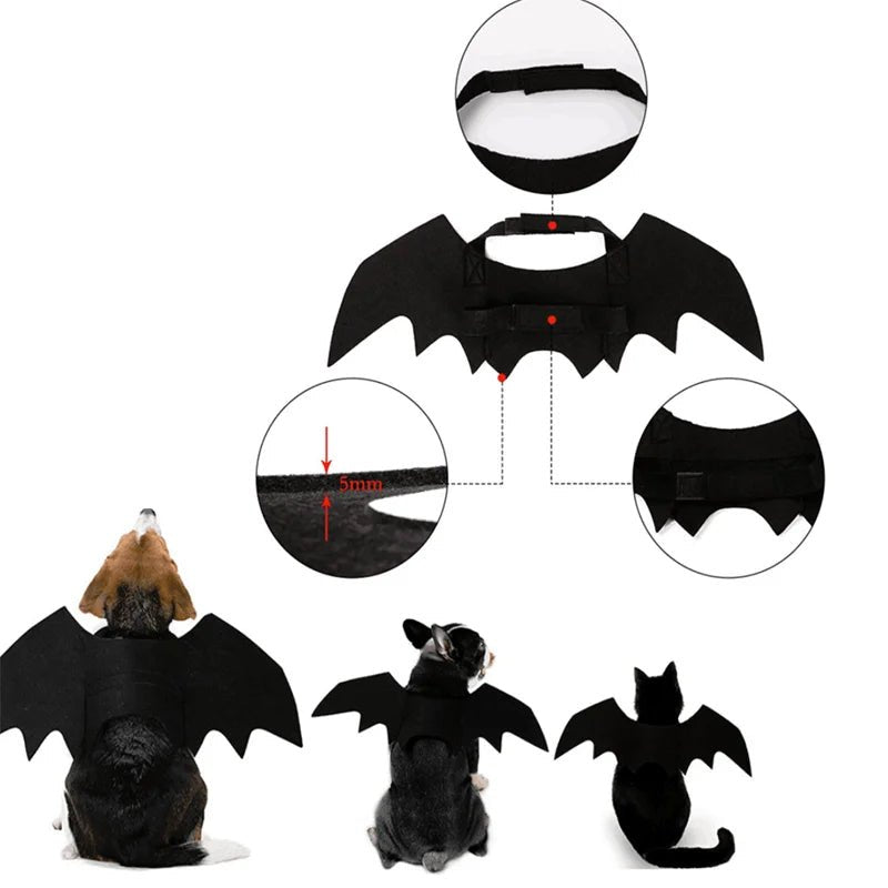 Halloween Bat Wings Costume - Pawradise Pointe