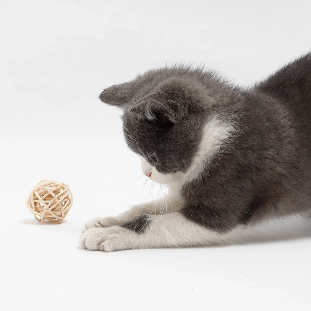 Interactive Cat Ball Toys - Pawradise Pointe