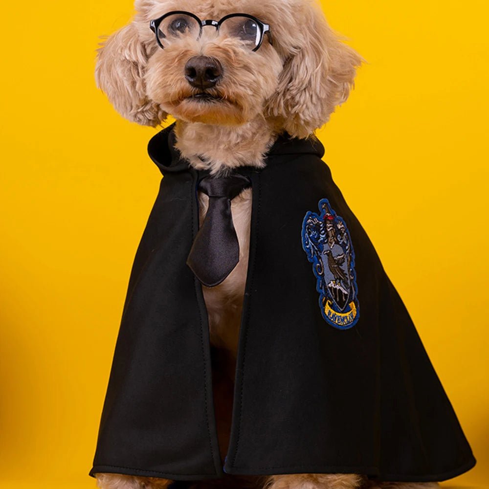 Magic Academy Pet Cape Costume - Pawradise Pointe