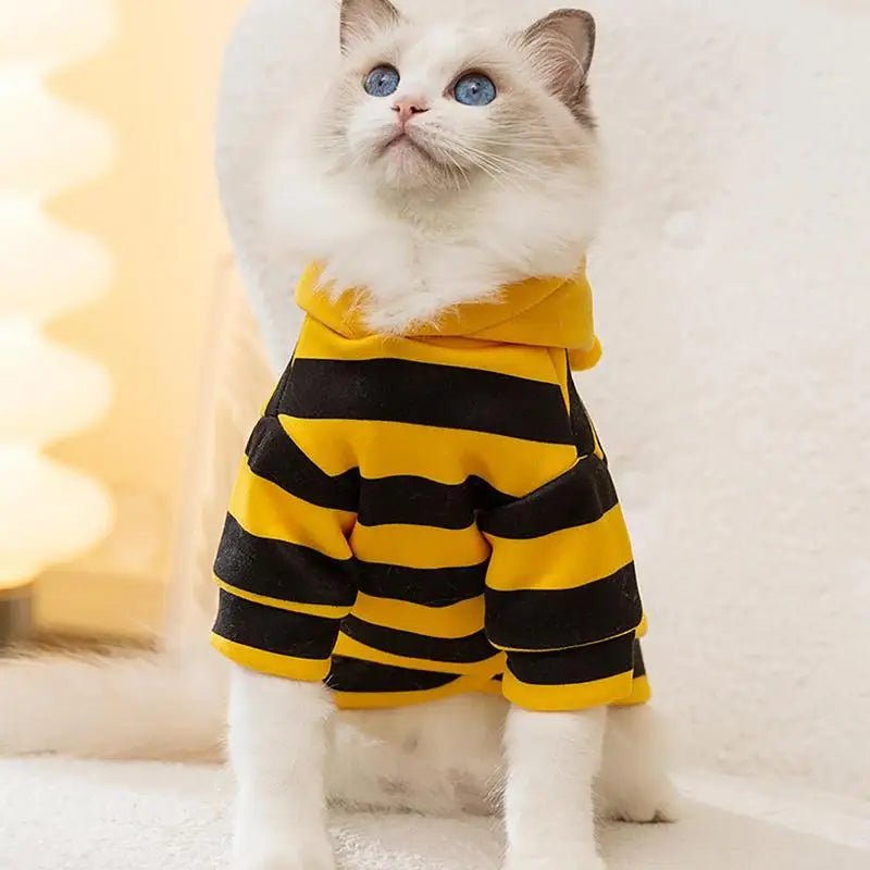 Pet Bee Costume - Pawradise Pointe