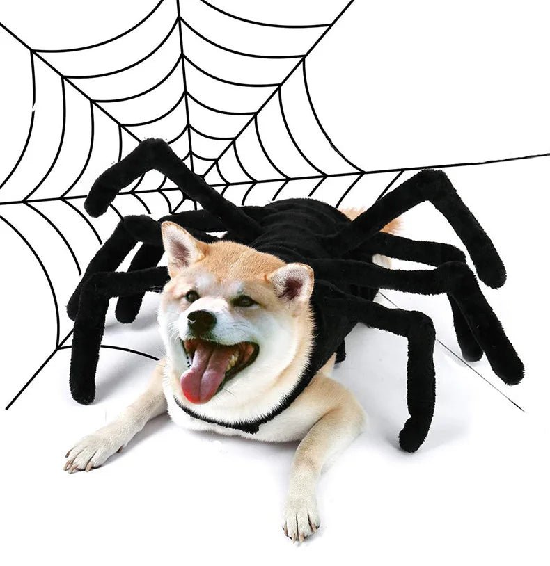 Pet Spider Costume - Pawradise Pointe