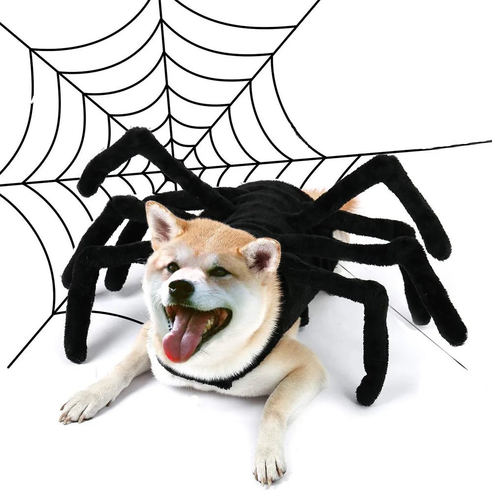 Pet Spider Costume - Pawradise Pointe