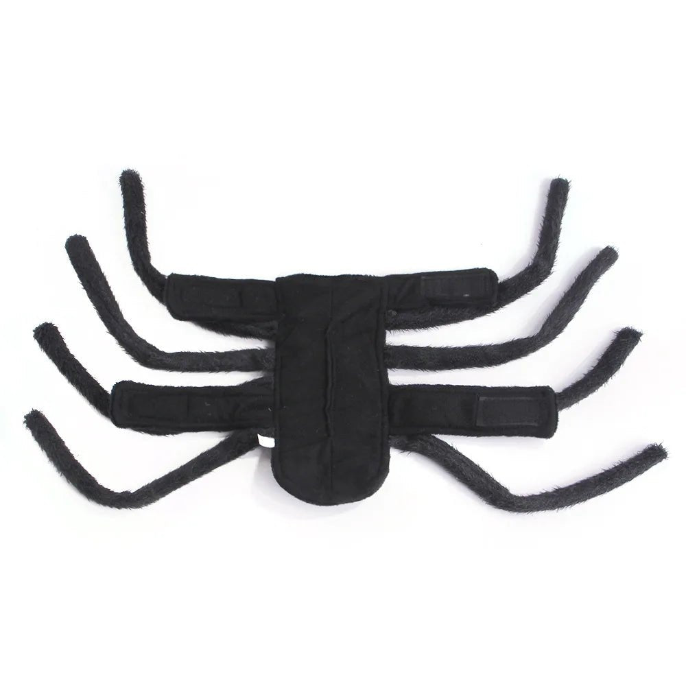 Pet Spider Costume - Pawradise Pointe