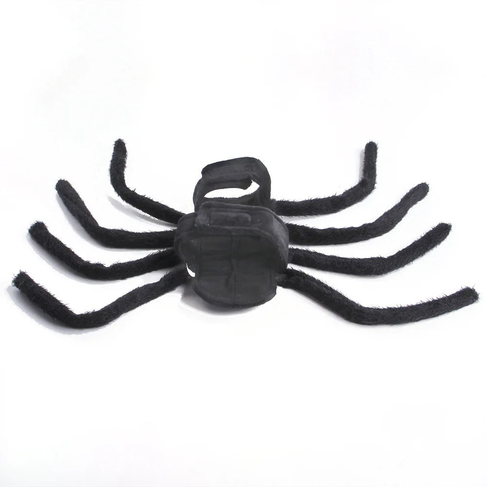 Pet Spider Costume - Pawradise Pointe