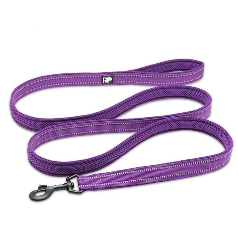 Truelove Reflective Dog Leash - Pawradise Pointe