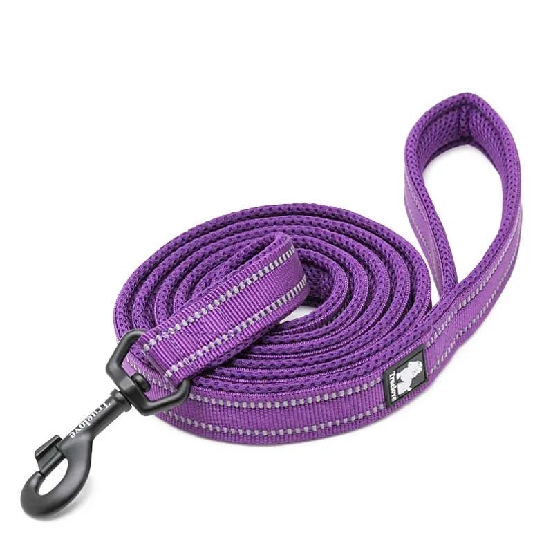 Truelove Reflective Dog Leash - Pawradise Pointe