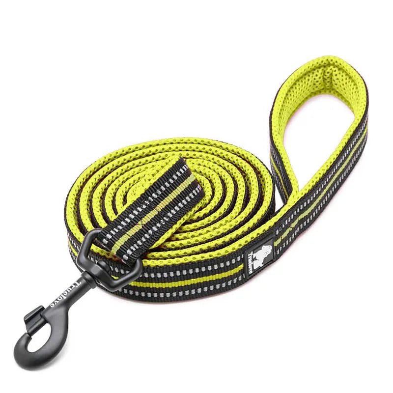 Truelove Reflective Dog Leash - Pawradise Pointe