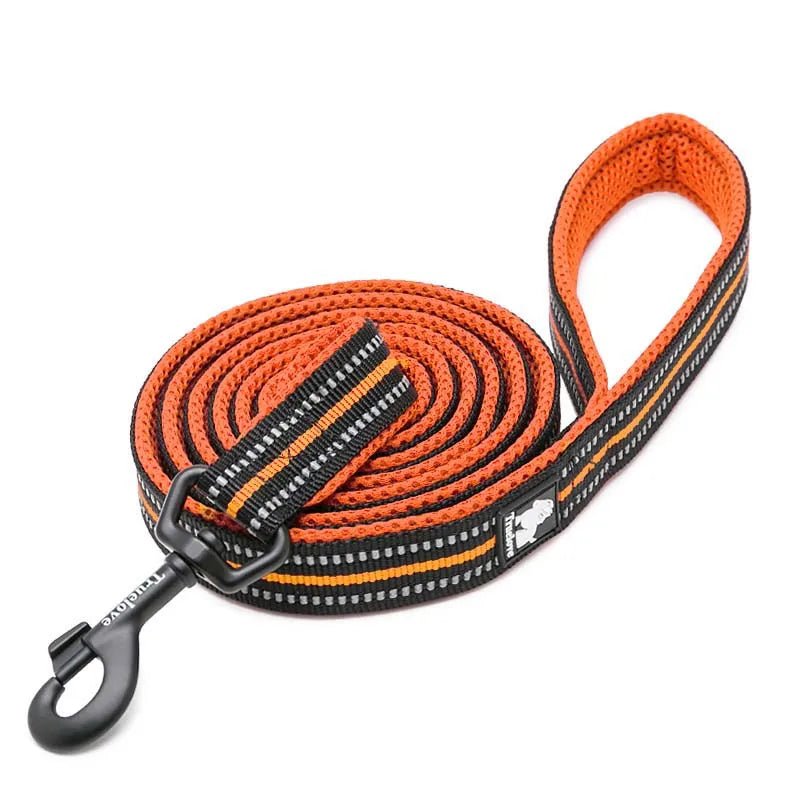 Truelove Reflective Dog Leash - Pawradise Pointe