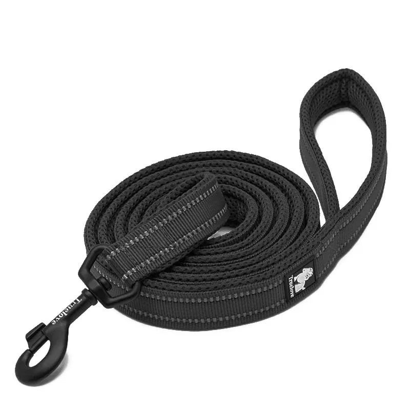 Truelove Reflective Dog Leash - Pawradise Pointe