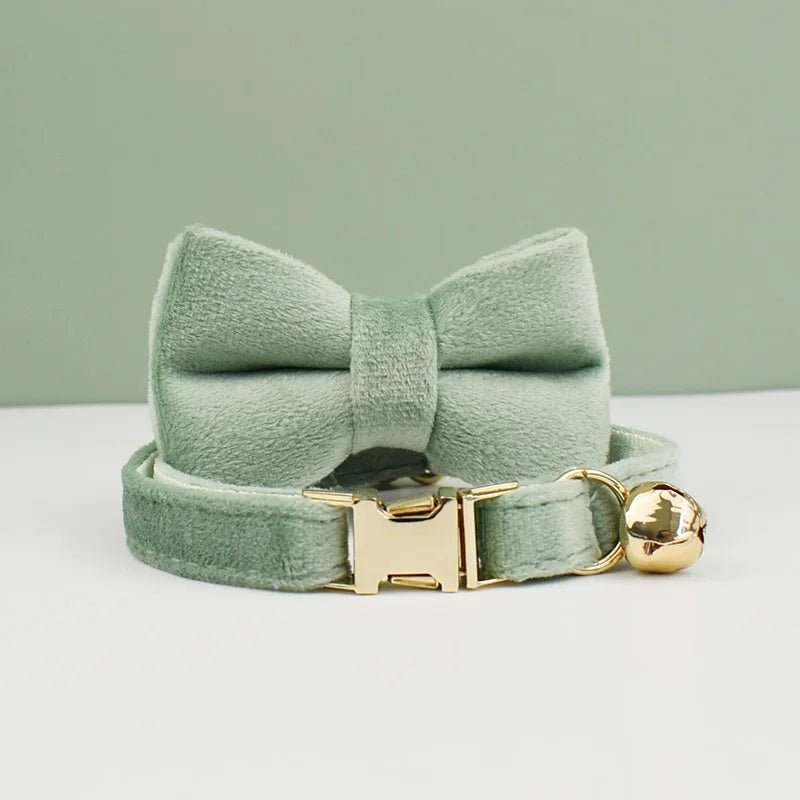 Velvet Cat Collar and Harness Set - Pawradise Pointe