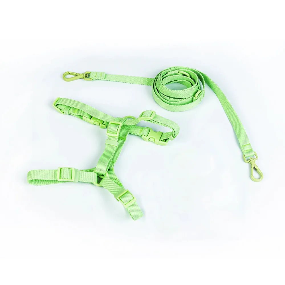 Vibrant Series Dog Harness and Leash Set - Pawradise Pointe