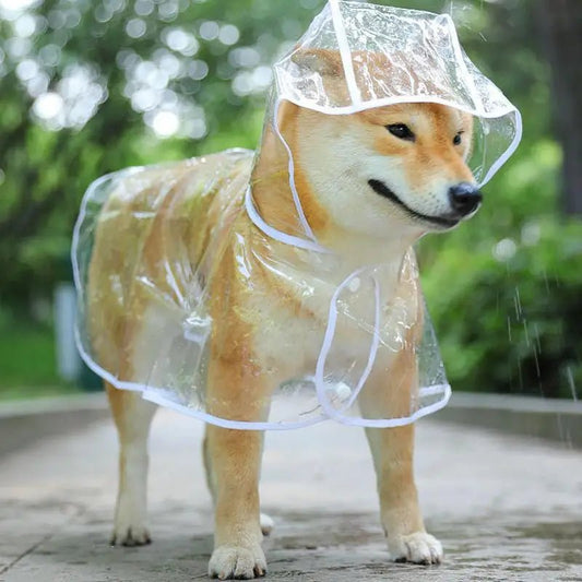 Waterproof Dog Raincoat - Pawradise Pointe